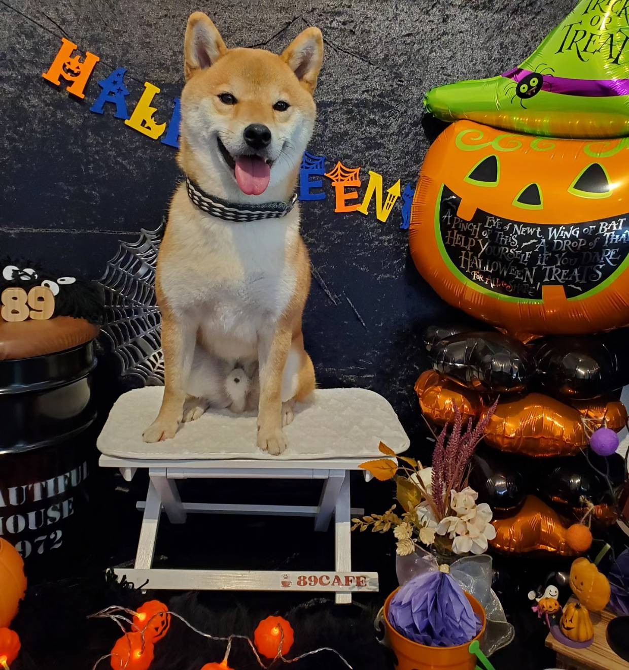 89CAFEさんのハロウィーン