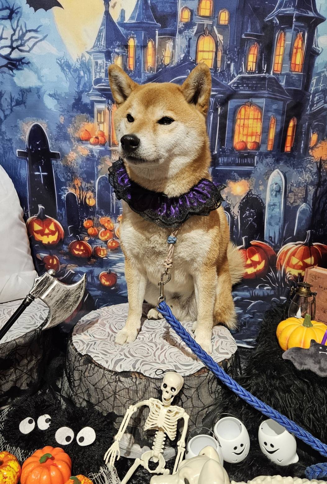 89CAFEさんのハロウィーン2025