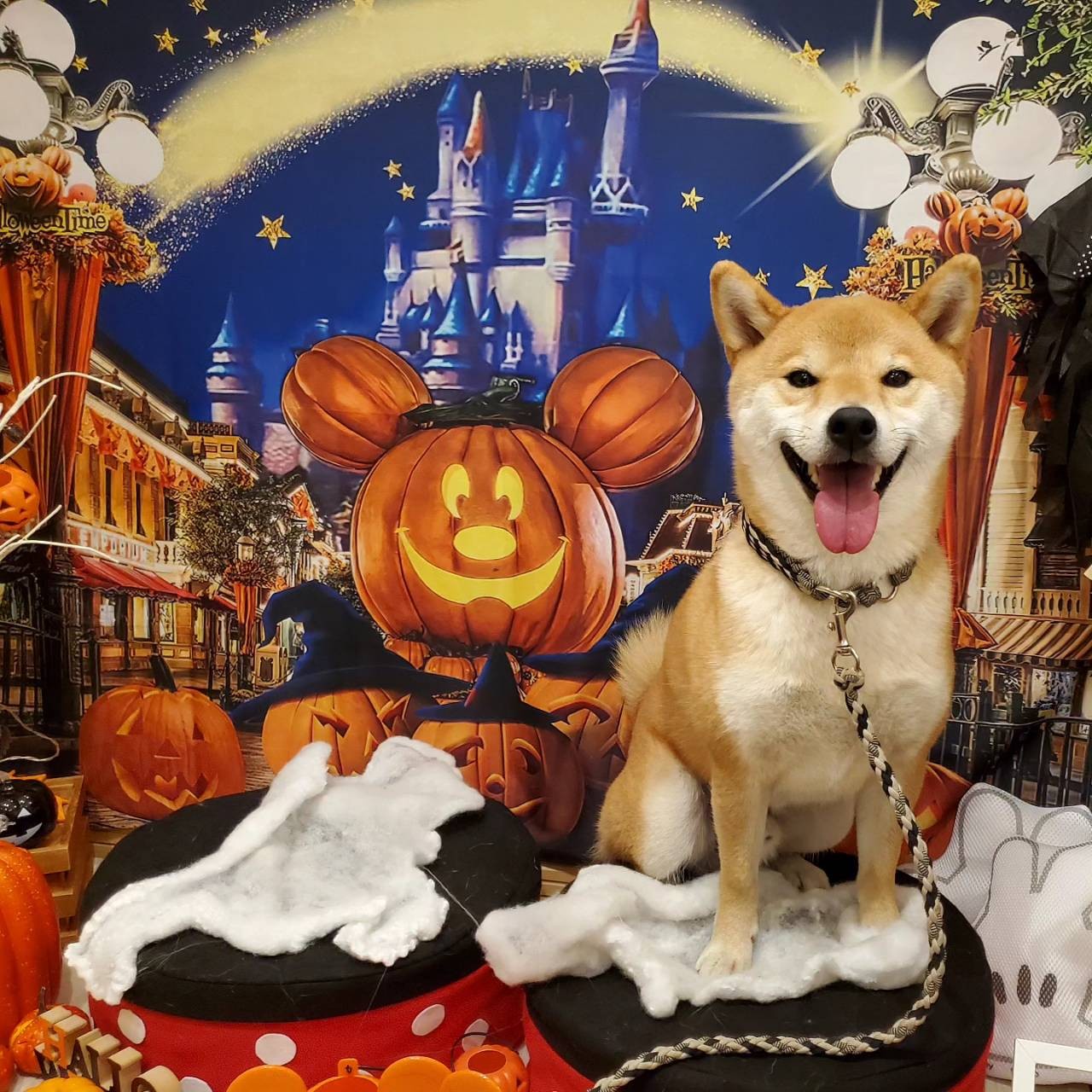 ちょここさんのハロウィーン