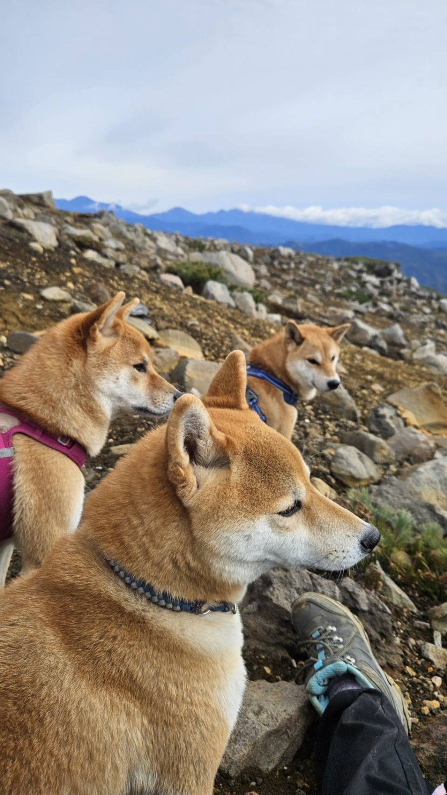 何かいるのかな?
