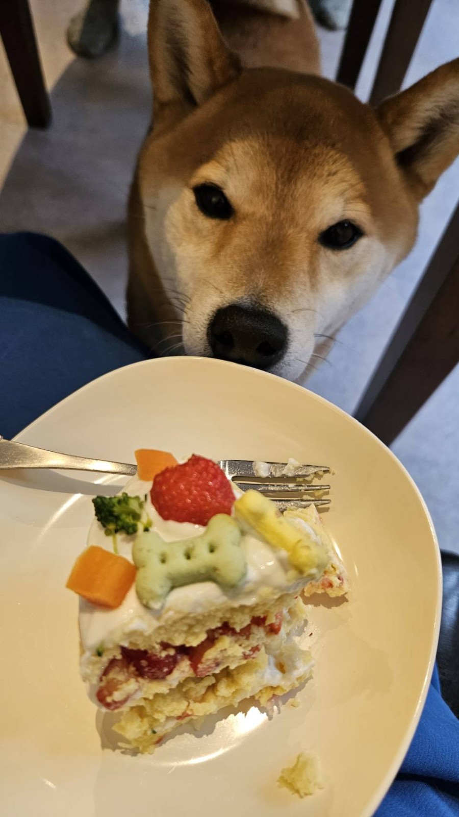 虎太郎も釘付け