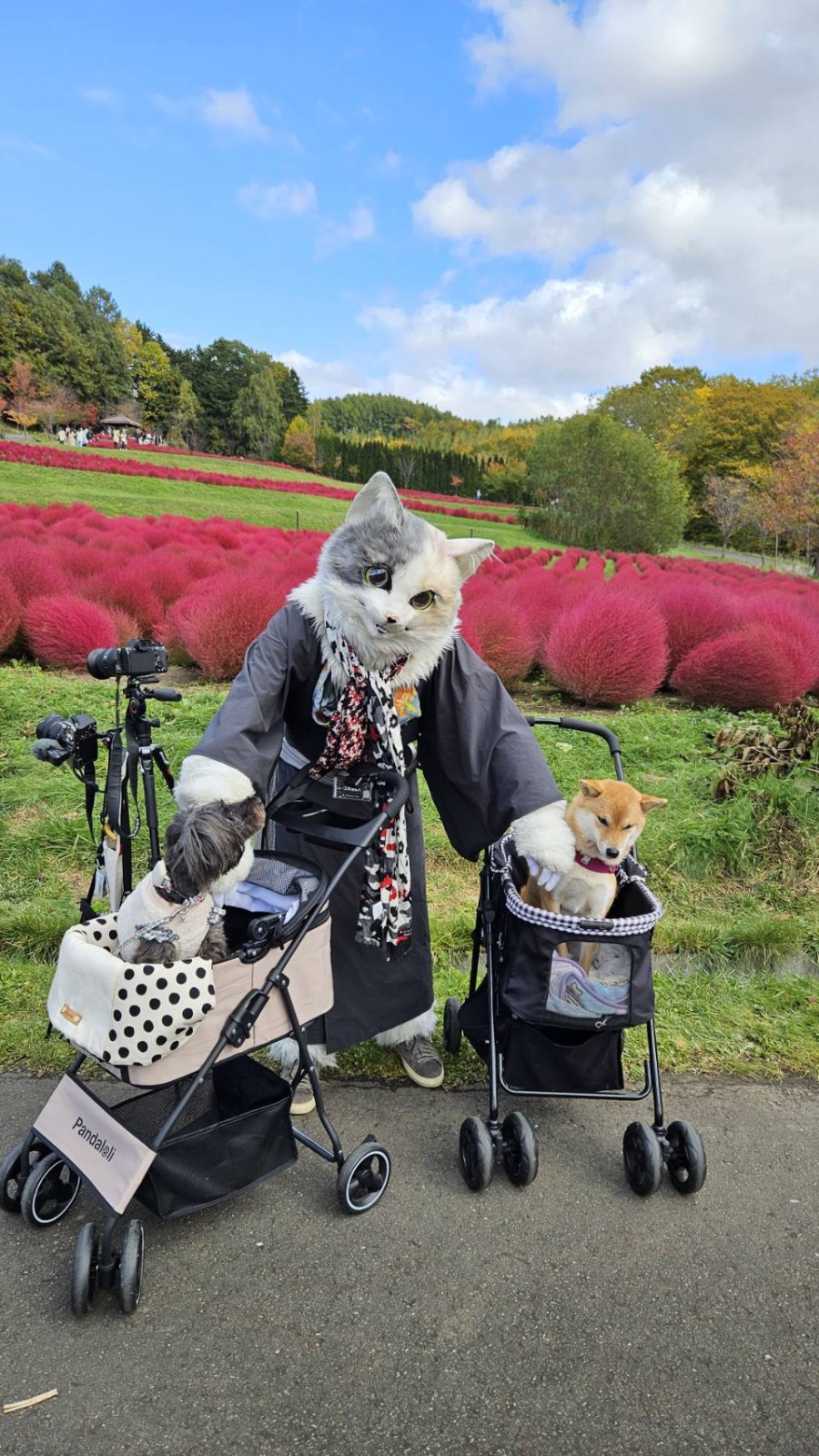 三毛猫星人みっちゃん