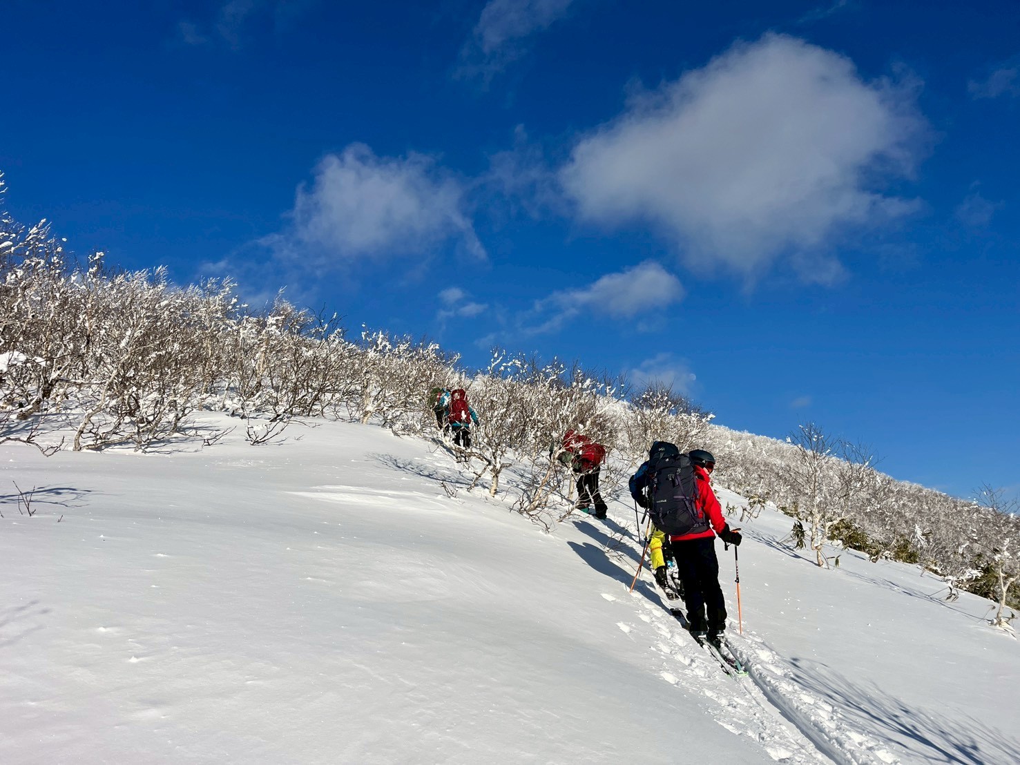 たのしいなぁー