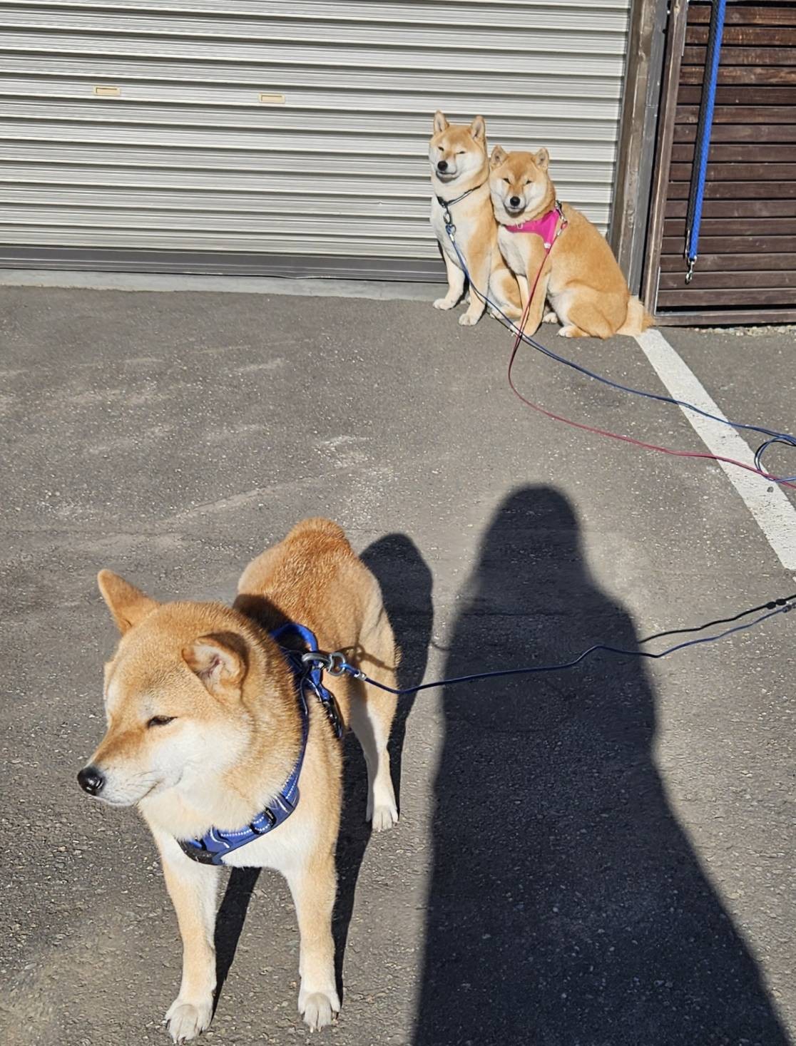 ポカポカ暖かい