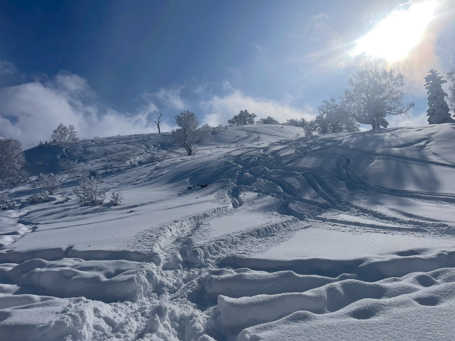 この中に転倒して埋まってるいる仲間がいます